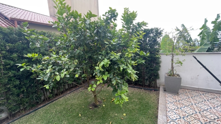 Apartamento, 4 quartos, 240 m² - Foto 20