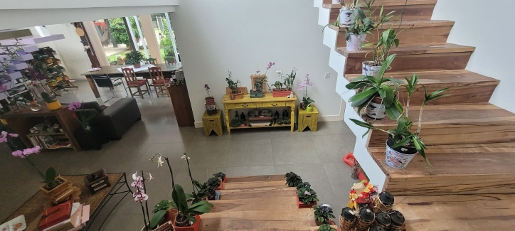 Casa à venda com 3 quartos, 560m² - Foto 4
