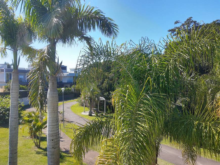 Casa, 4 quartos, 800 m² - Foto 17