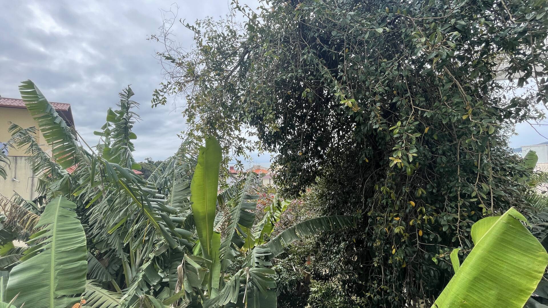 Apartamento, 4 quartos, 240 m² - Foto 15