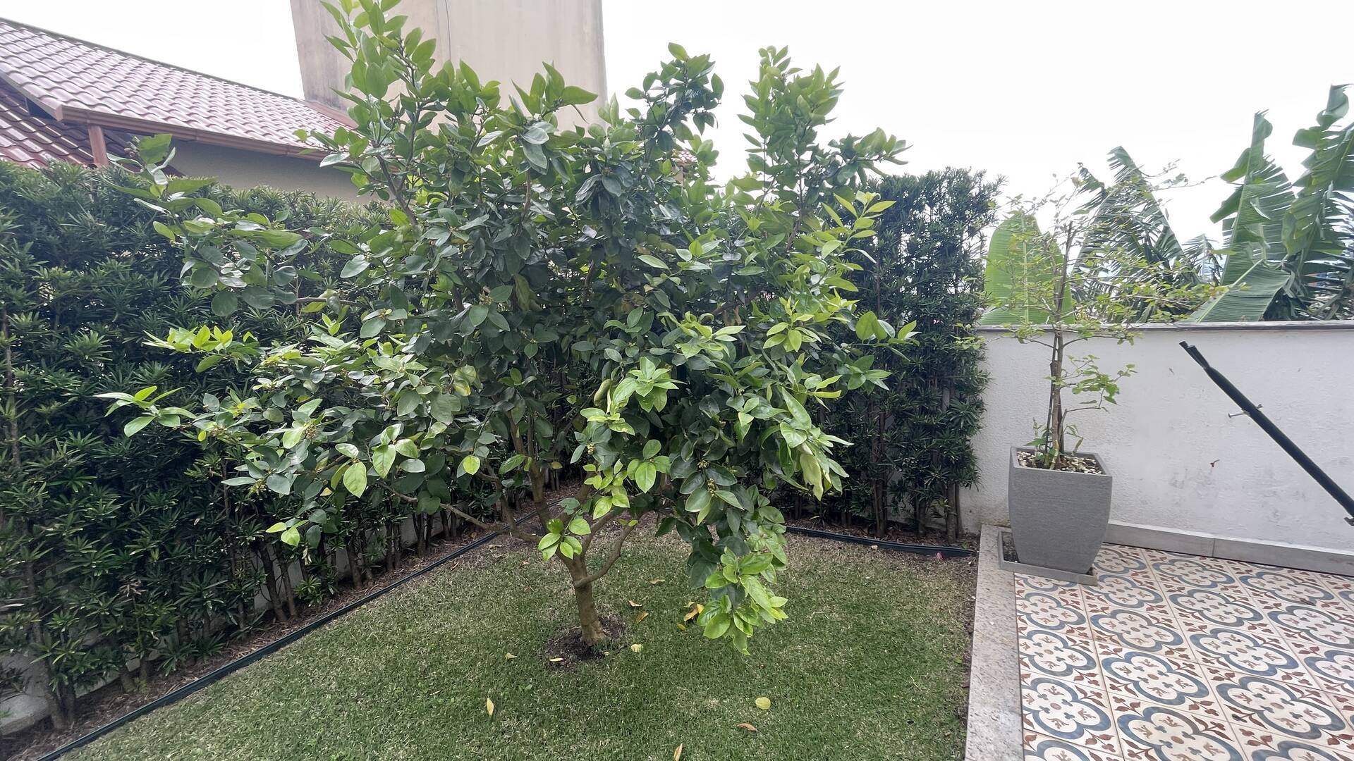 Apartamento, 4 quartos, 240 m² - Foto 19