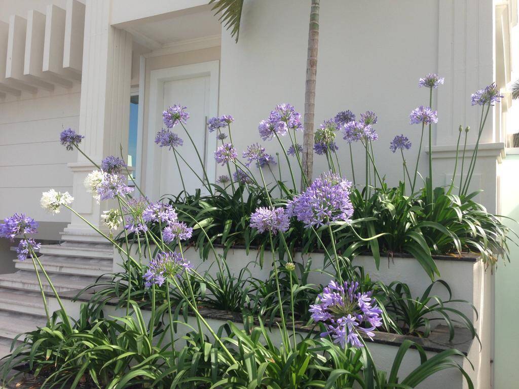 Casa de Condomínio, 7 quartos - Foto 12