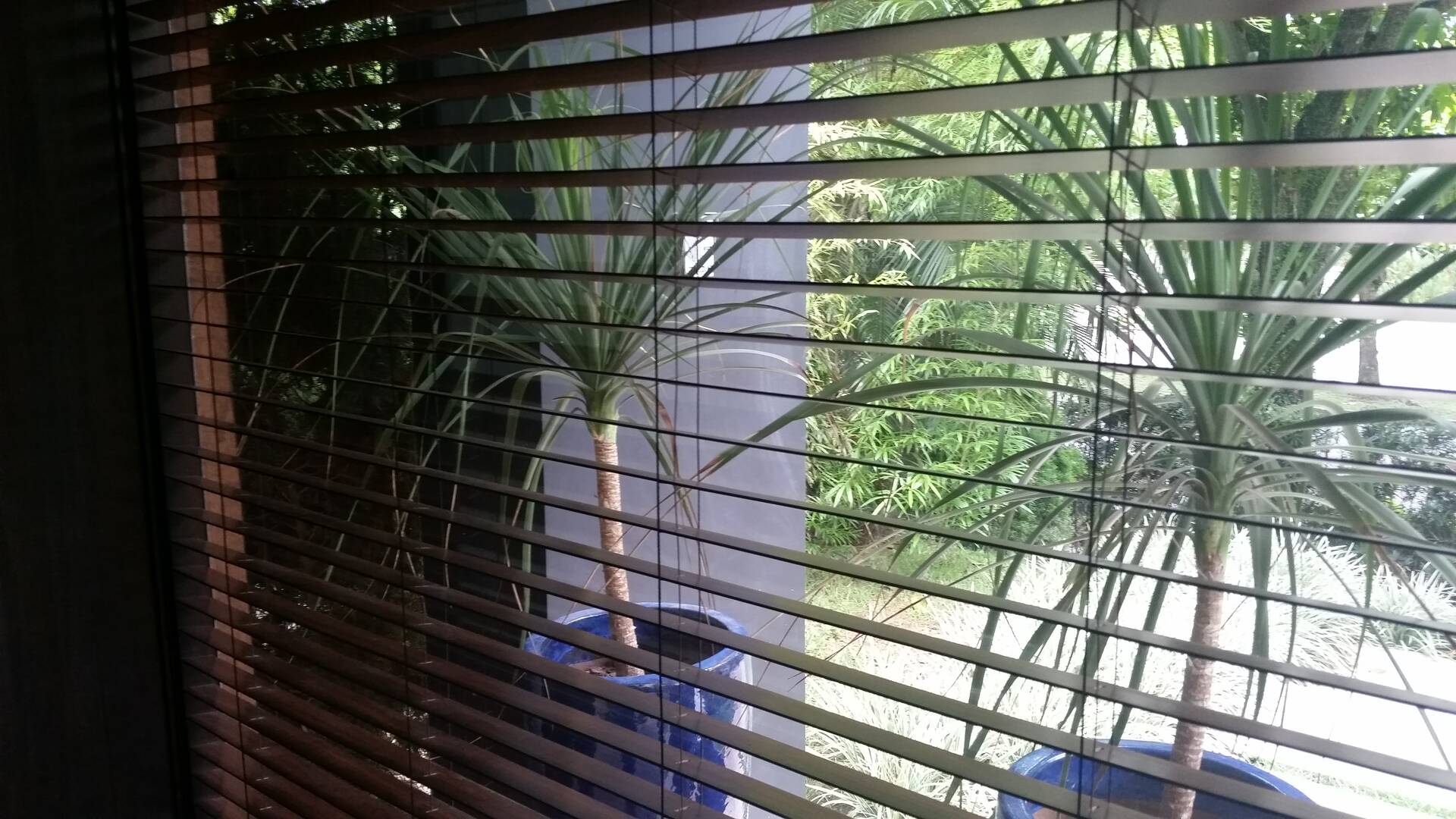 Casa, 5 quartos, 350 m² - Foto 9