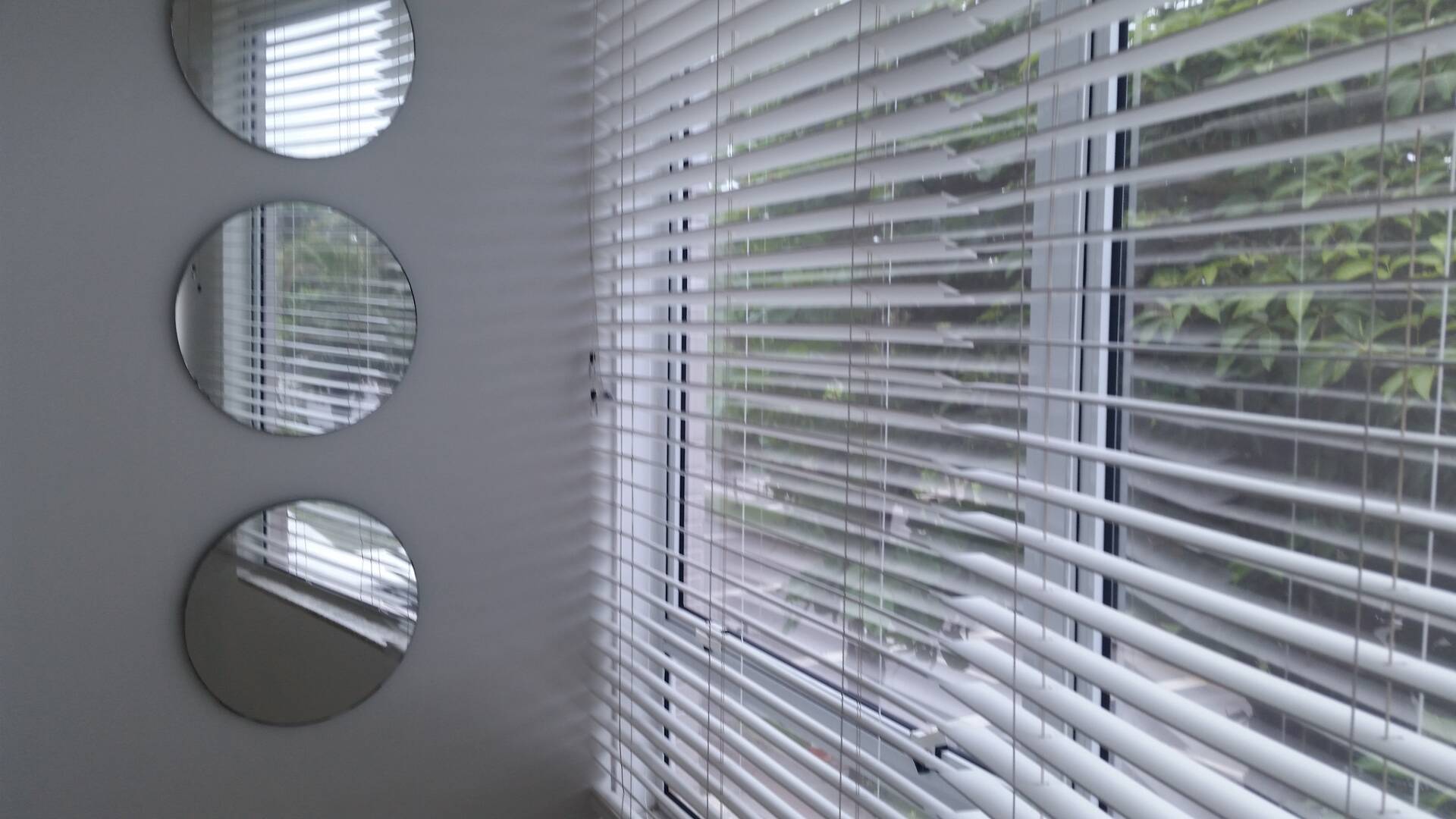 Casa, 5 quartos, 350 m² - Foto 15