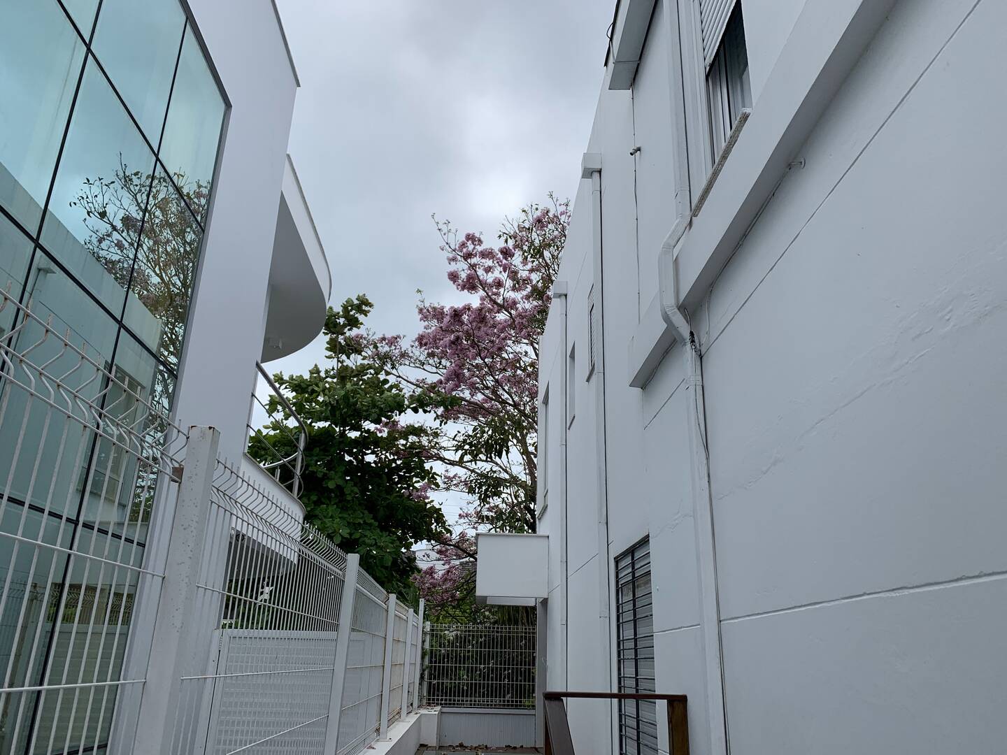 Casa, 5 quartos, 350 m² - Foto 40