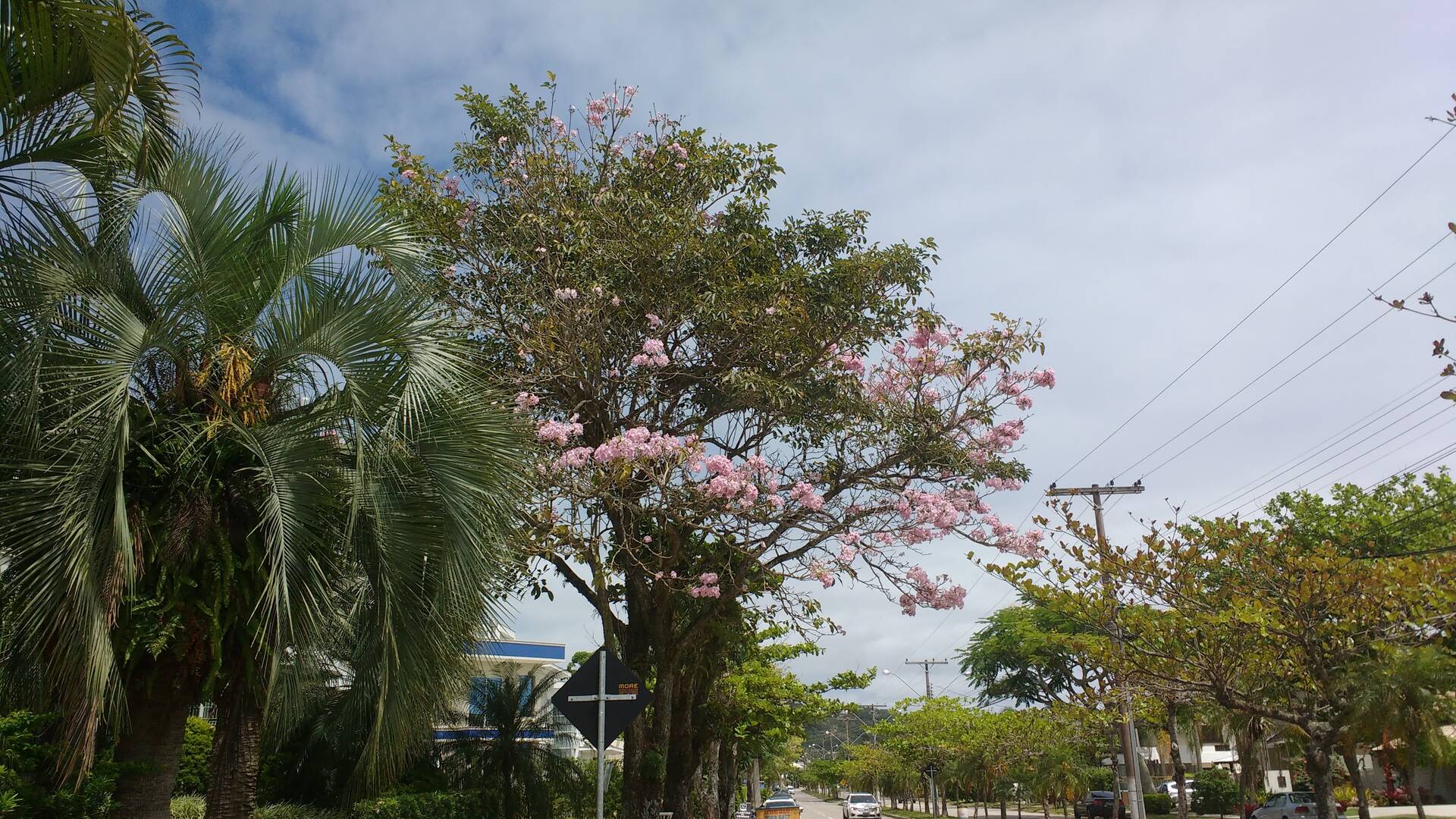 Casa, 5 quartos, 350 m² - Foto 83