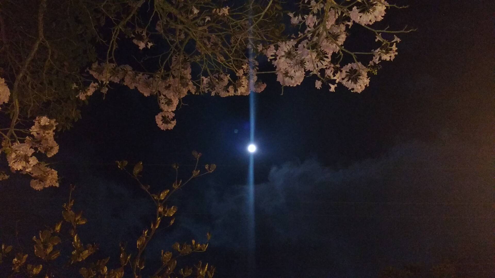 Casa, 5 quartos, 350 m² - Foto 84