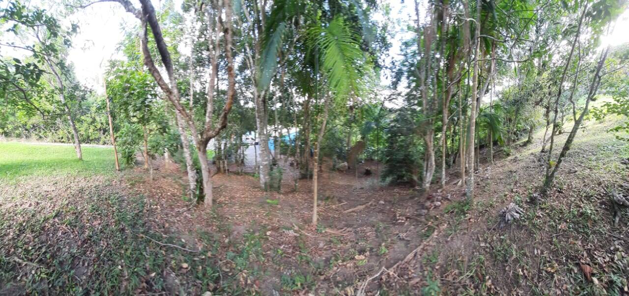 Chácara à venda com 3 quartos, 250m² - Foto 5