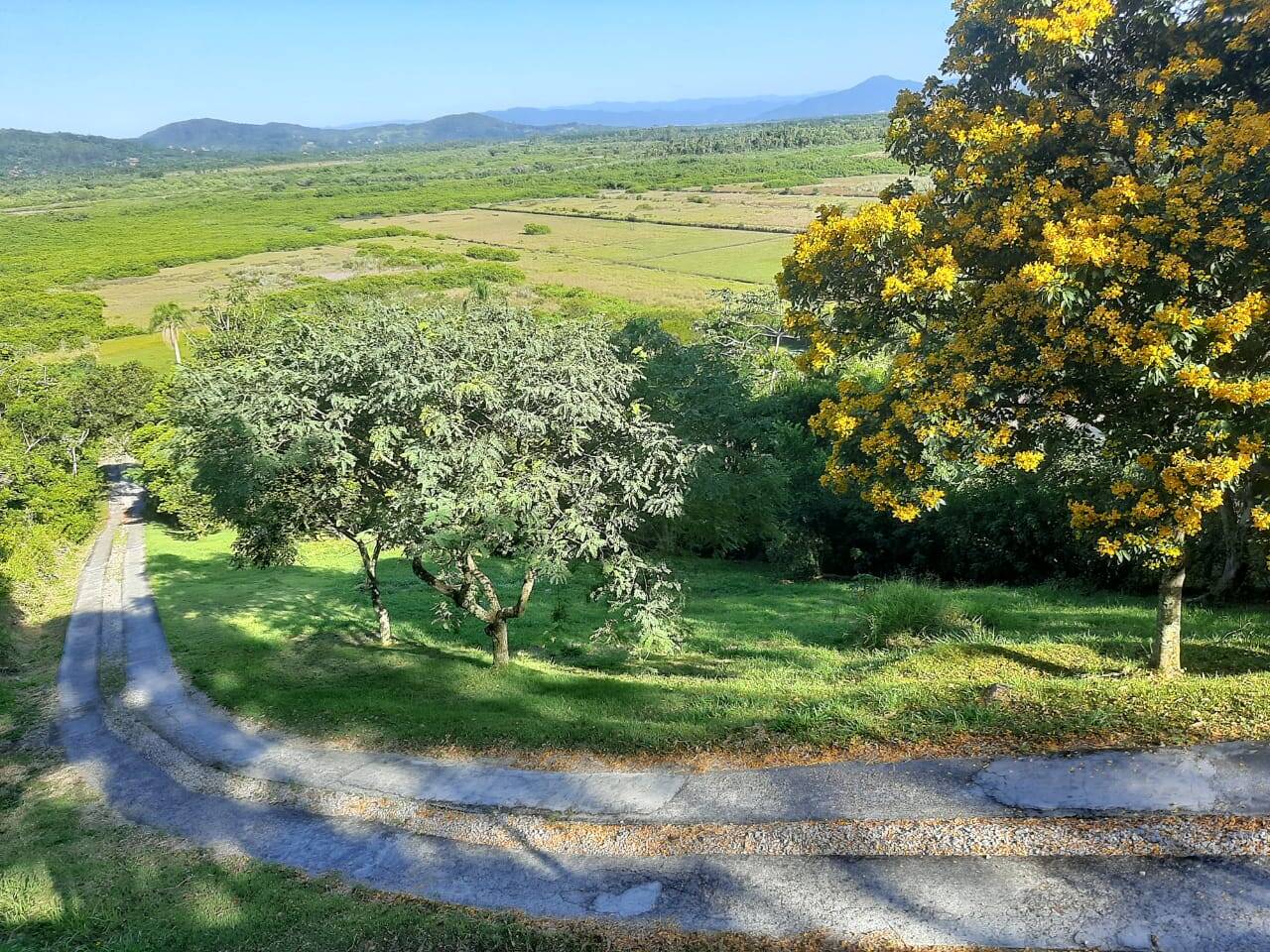 Chácara à venda com 3 quartos, 250m² - Foto 19