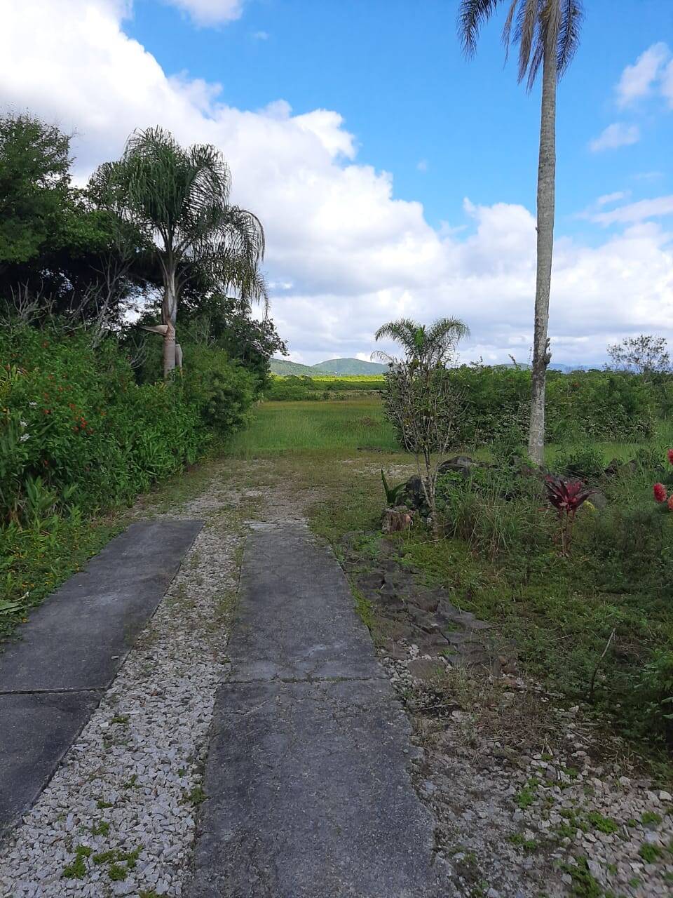 Chácara à venda com 3 quartos, 250m² - Foto 23