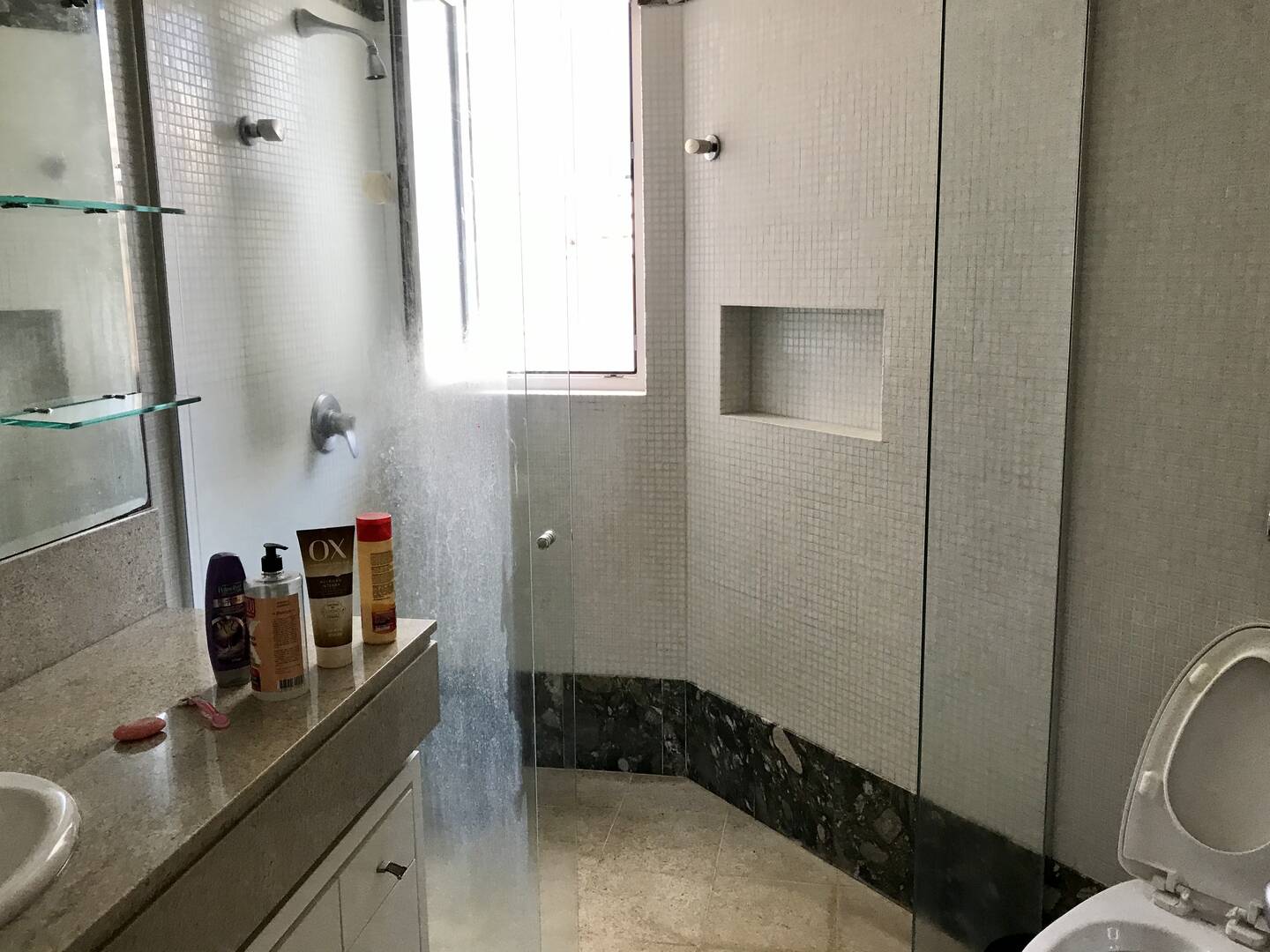 Casa, 5 quartos, 550 m² - Foto 28