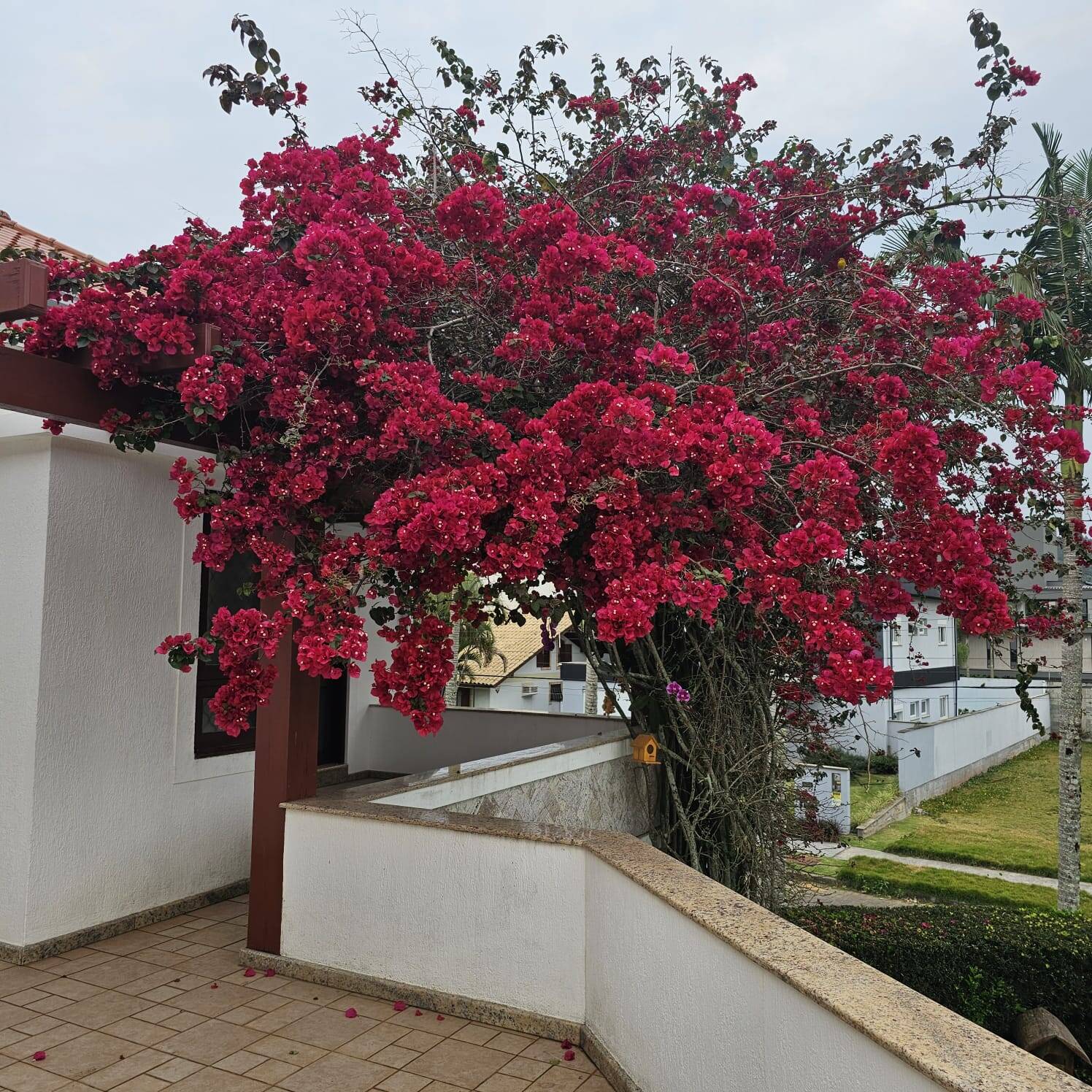 Casa à venda com 6 quartos, 548m² - Foto 43