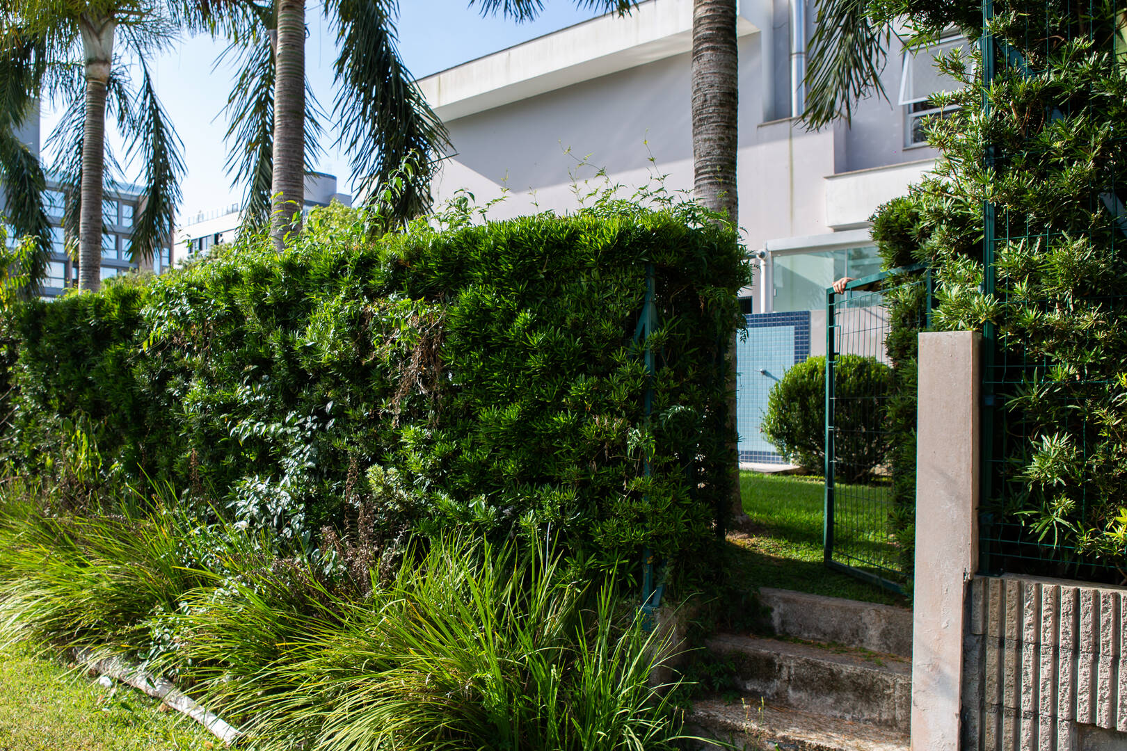Casa para alugar com 5 quartos, 529m² - Foto 46