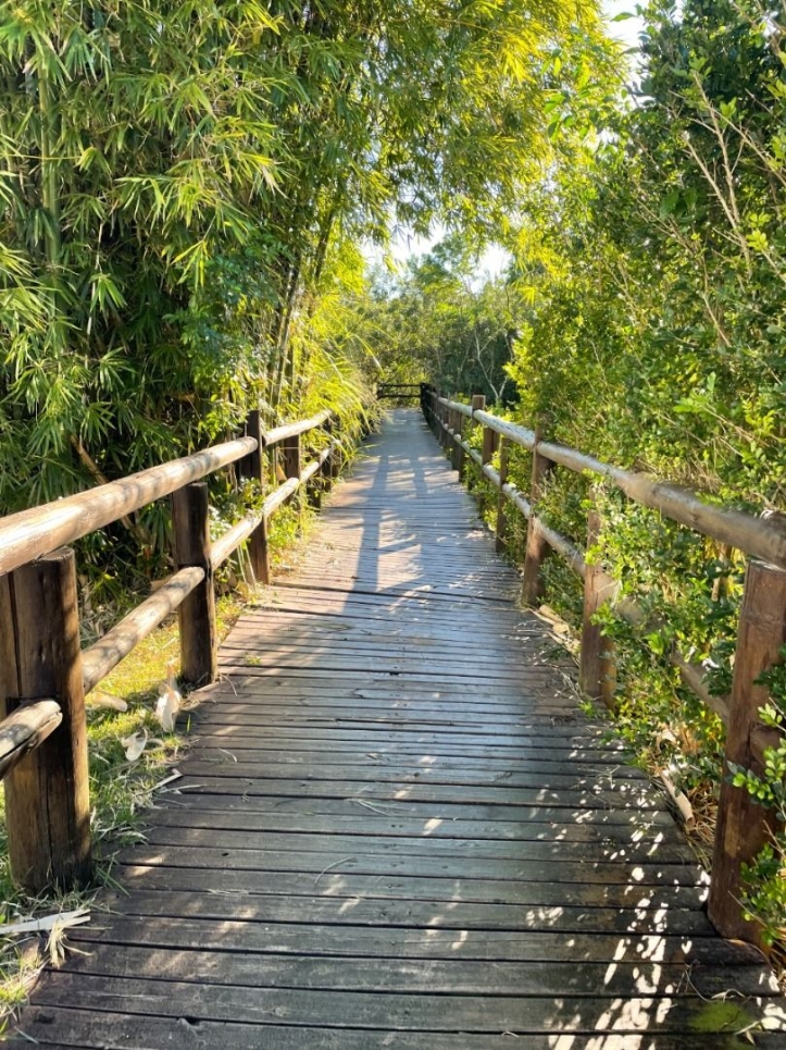 Apartamento, 3 quartos, 150 m² - Foto 33