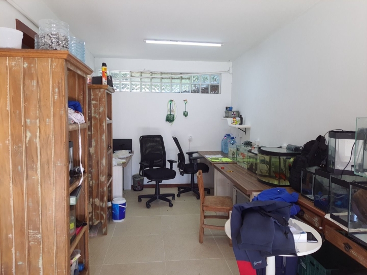 Casa, 3 quartos, 210 m² - Foto 17