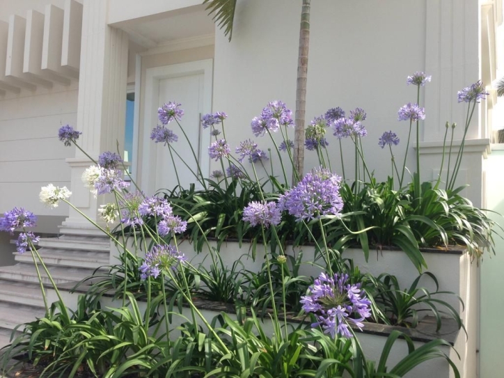 Casa à venda com 7 quartos, 600m² - Foto 12