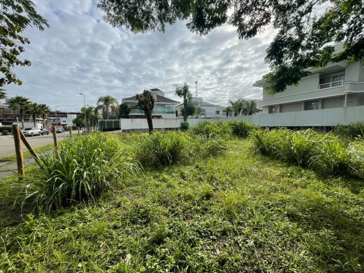 Terreno, 598 m² - Foto 2