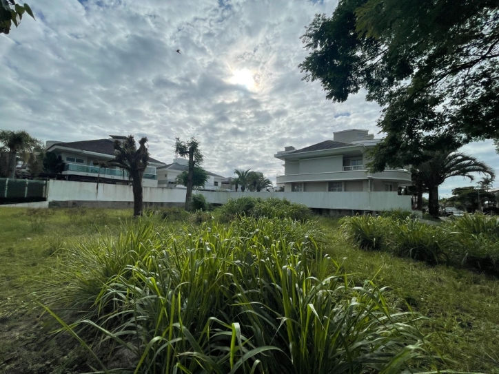 Terreno, 598 m² - Foto 6