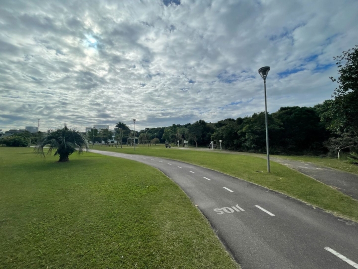 Terreno, 598 m² - Foto 14