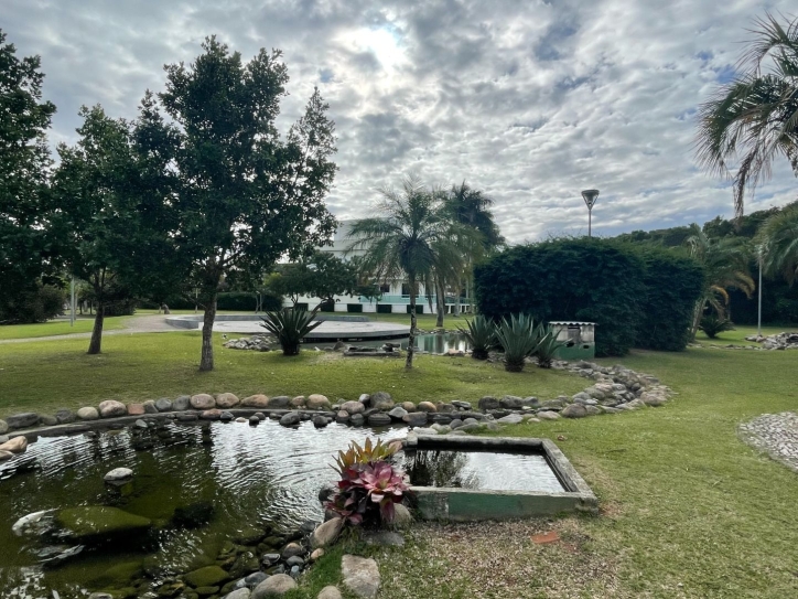 Terreno, 598 m² - Foto 18