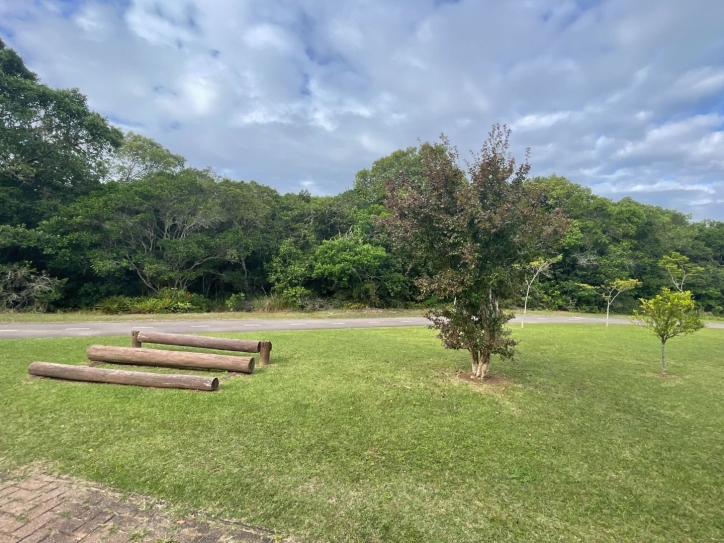 Terreno, 598 m² - Foto 20