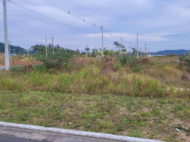 Área para Venda em Florianópolis - 5